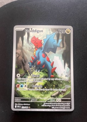 Druddigon, graded 9.0