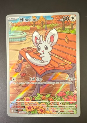 Minccino, graded 9.0