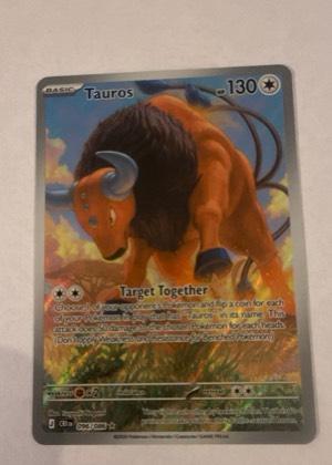 Tauros graded 6 & below