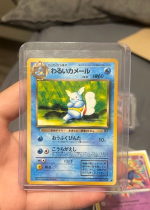 Wartortle, graded 8.0
