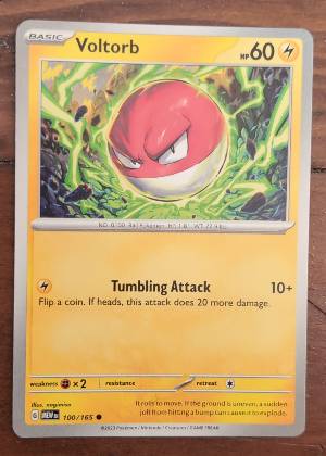 Voltorb, graded 9.5