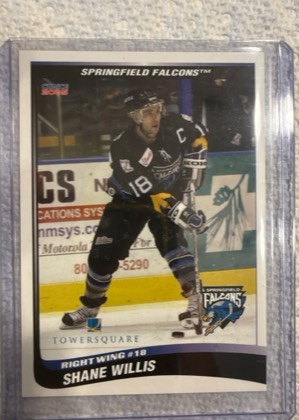 Shane Willis, graded 9.0