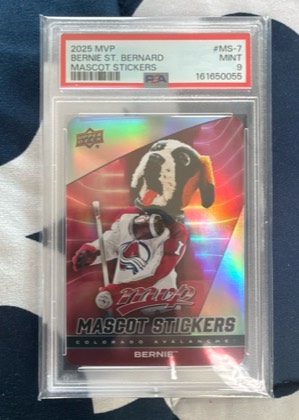 Bernie the St. Bernard, graded 9.0