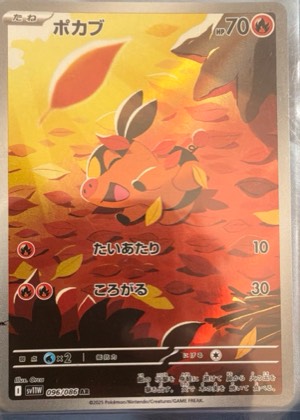 Tepig, graded 9.5