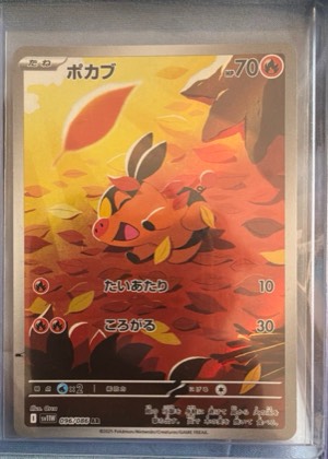 Tepig, graded 9.5