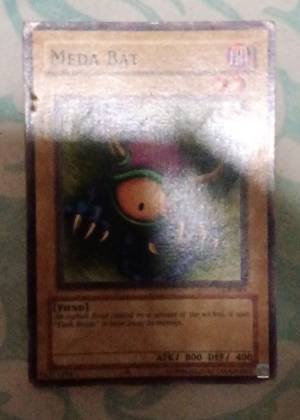 Meda Bat, graded 8.0
