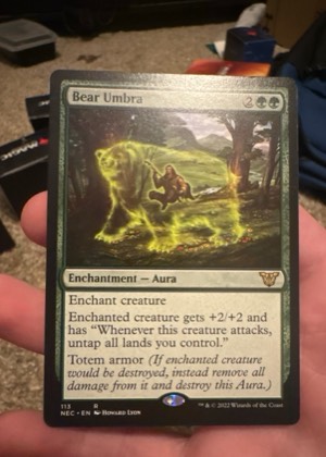Bear Umbra, graded 2.5