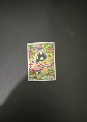 Shroodle, graded 9.0