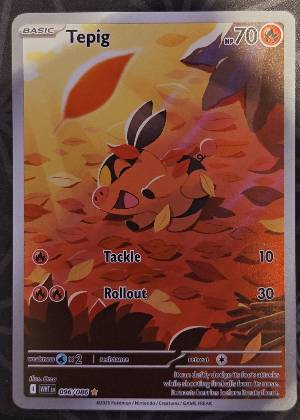 Tepig, graded 9.0