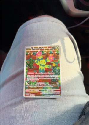 Maractus, graded 9.0