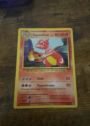 Charmeleon, graded 8.0