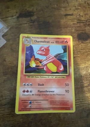Charmeleon graded 8