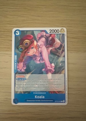 Koala, graded 9.5
