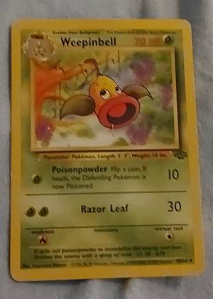 Weepinbell graded 8