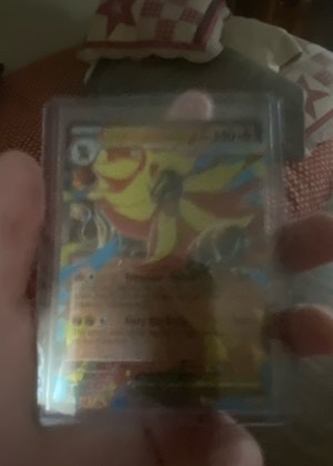 Raikou, graded 7.5