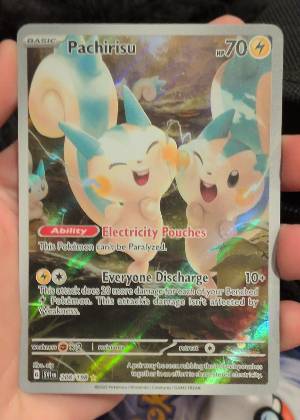 Pachirisu, graded 9.0