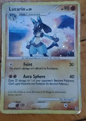 Lucario, graded 5.5