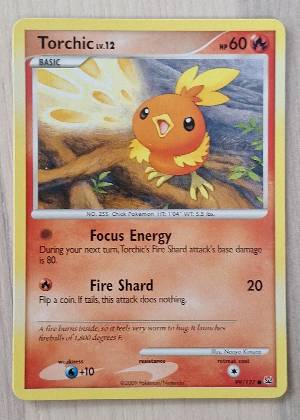 Torchic, graded 9.0