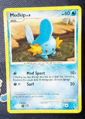 Mudkip, graded 7.0