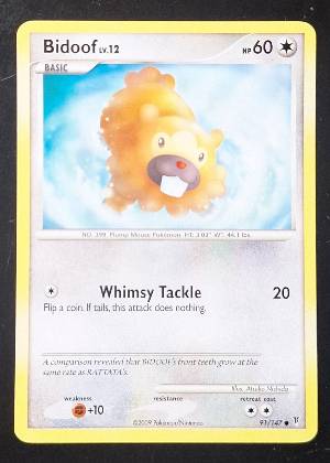 Bidoof, graded 9.0