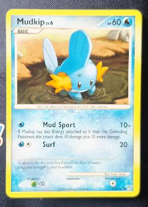 Mudkip, graded 8.5