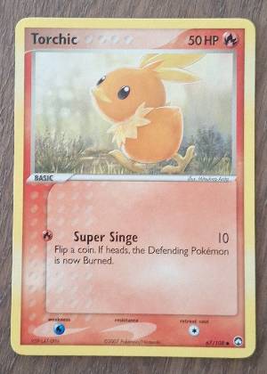 Torchic, graded 7.0