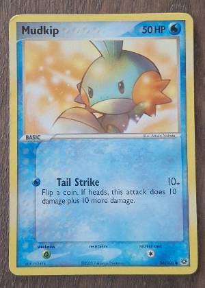 Mudkip, graded 7.0