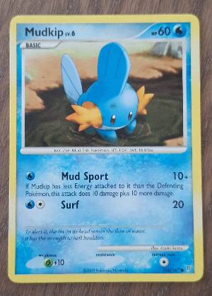 Mudkip, graded 7.0