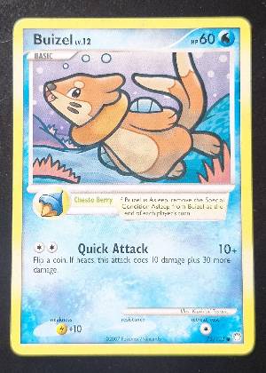 Buizel, graded 7.0