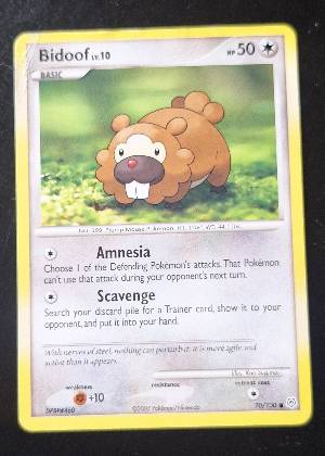 Bidoof, graded 7.0
