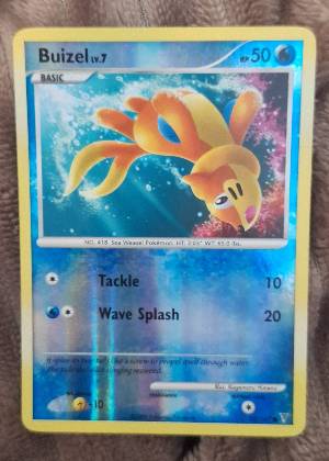 Buizel, graded 8.5