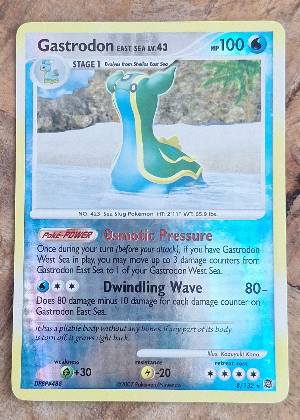 Gastrodon East Sea, graded 9.0