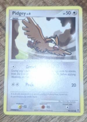 Pidgey, graded 7.5