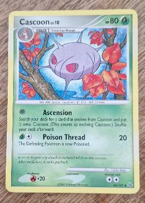Cascoon, graded 7.5
