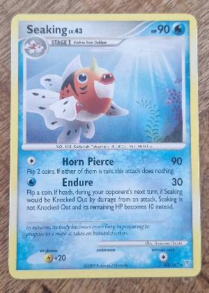 Seaking, graded 7.5