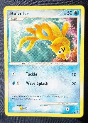 Buizel, graded 8.0