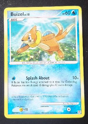 Buizel, graded 7.5