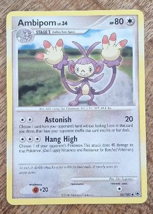 Ambipom, graded 7.5
