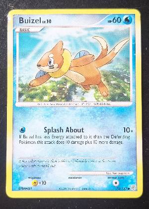 Buizel, graded 7.0