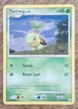 Turtwig, graded 7.5
