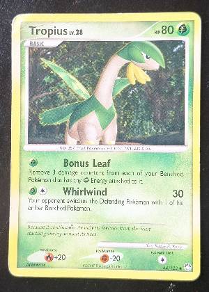 Tropius, graded 8.5
