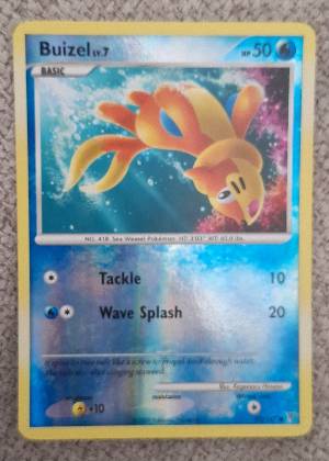 Kricketot, graded 7.0