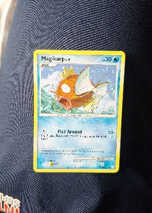 Magikarp, graded 8.0