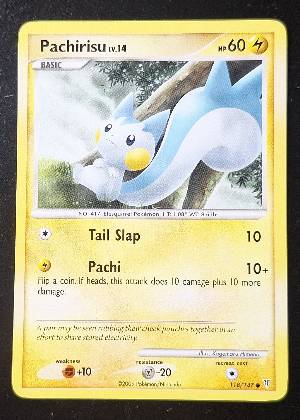 Pachirisu, graded 7.5