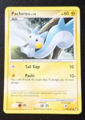 Pachirisu, graded 7.5
