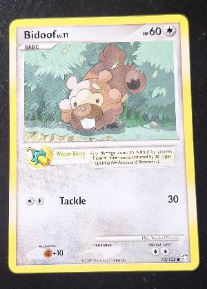 Bidoof, graded 7.5