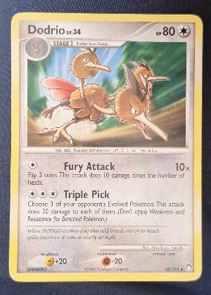 Dodrio, graded 7.0