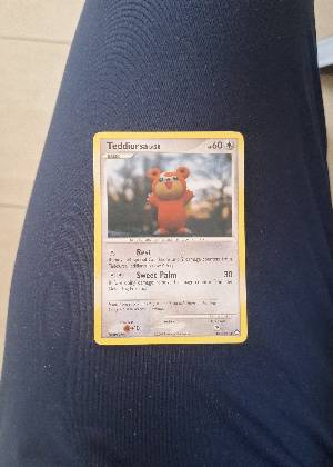 Teddiursa, graded 7.5