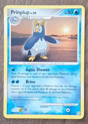 Prinplup, graded 7.5