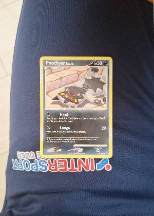 Poochyena, graded 7.0